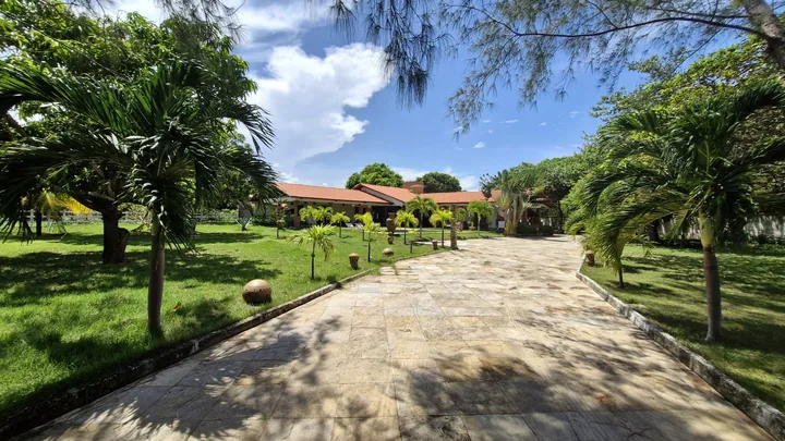 Caminho de pedra entre gramados e palmeiras até a casa.